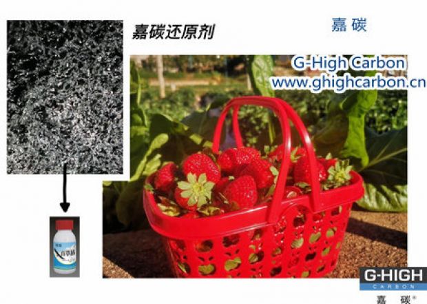 嘉碳還原劑守護(hù)“莓”好，甜蜜上線