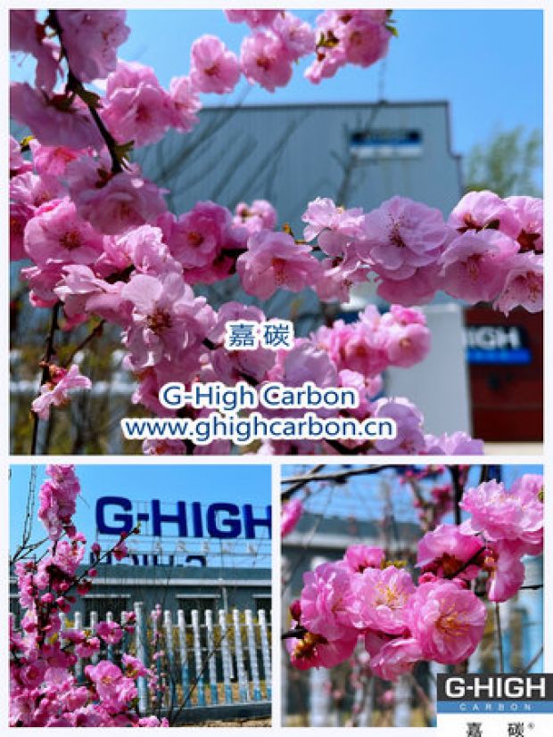 環(huán)保嘉碳，春花爛漫